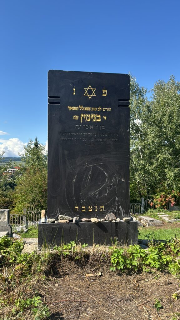 12d4fb2d d7bc 4f1f 8a5d c70c4c6caf94