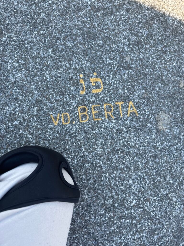 img a1d1a36c 54c5 4312 a073 86ded44b2e6c